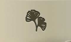 Ginkgo Leaves silhouette