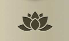 Lotus silhouette #1