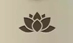 蓮