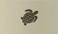 Turtle silhouette #6