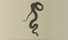 Snake silhouette #5