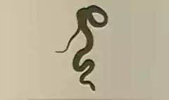 ヘビのシルエット