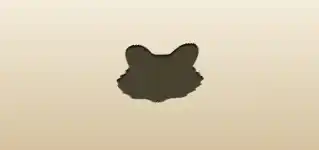 Raccoon