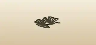 Ginkgo Leaves