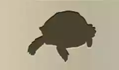 カメのシルエット