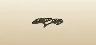 Ginkgo Leaves