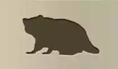 アライグマのシルエット