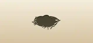 Nest