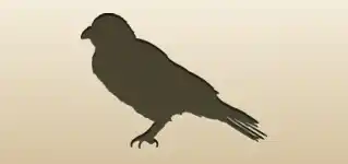 Crow