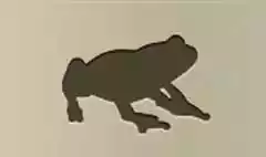 カエルのシルエット
