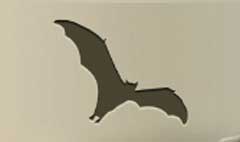 Bat silhouette #1