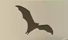 コウモリのシルエット
