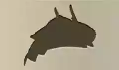 兜のシルエット