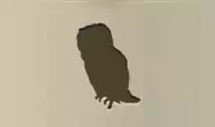 フクロウのシルエット