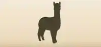 Alpaca silhouette