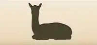 Alpaca silhouette