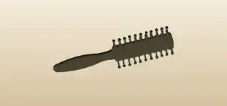 Hair Brush