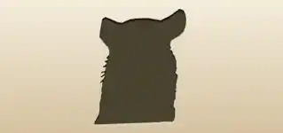 Chinchilla