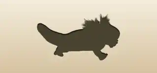 Axolotl