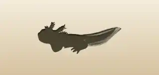 Axolotl