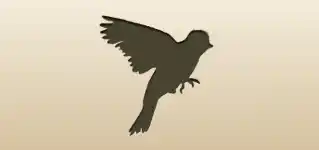 Canary