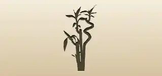 Bamboo