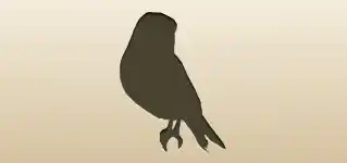 Canary