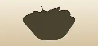 Fruit