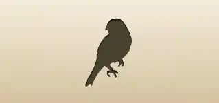 Canary