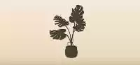 屋内観葉植物のシルエット