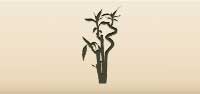 Bamboo silhouette