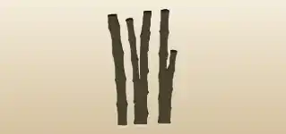 Bamboo