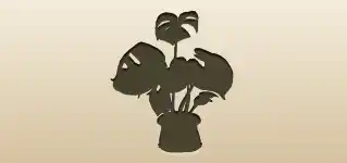 Indoor Monstera