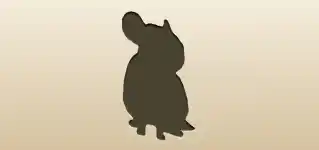 Chinchilla