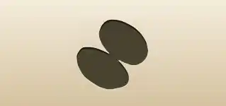 Powder Box