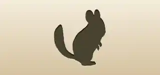 Chinchilla