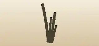 Bamboo