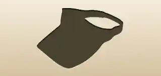 Visor