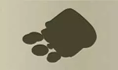 Coin Purse silhouette