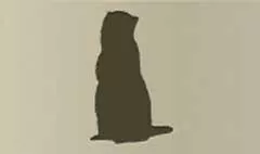 Ferret silhouette