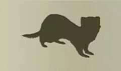 Ferret silhouette
