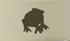 Toad silhouette