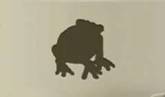 Toad silhouette