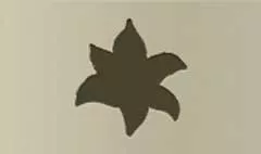 Lily silhouette
