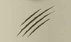 Scratches