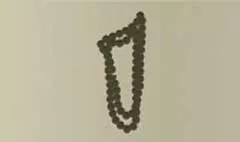 Beads silhouette