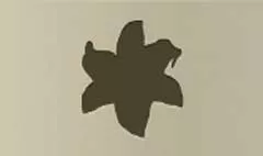 Lily silhouette