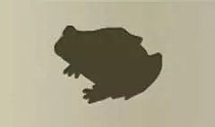 Toad silhouette