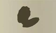 Powder Box silhouette
