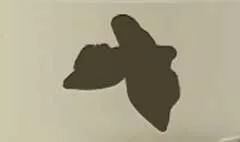 Slippers silhouette